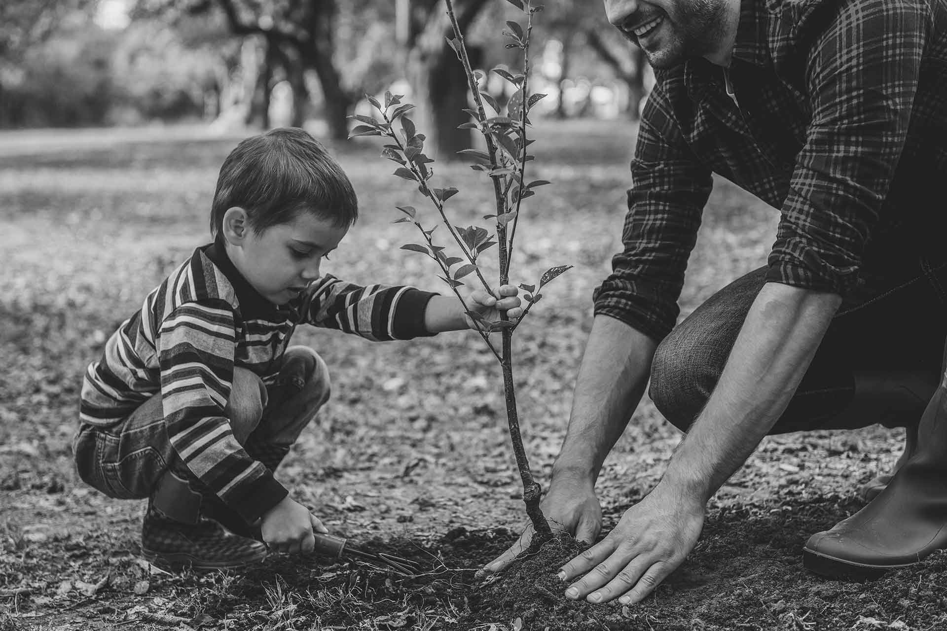 boy with father planting tree